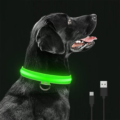 Pet collar that glows in the dark